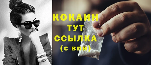 стаф Дмитров