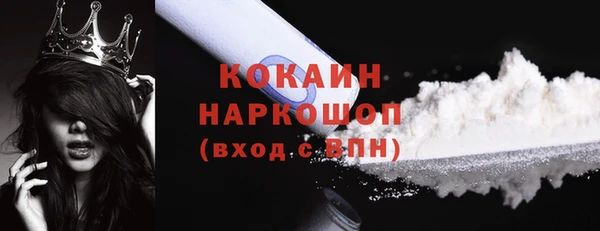 стаф Дмитров