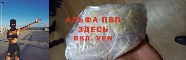 меф Дмитриев
