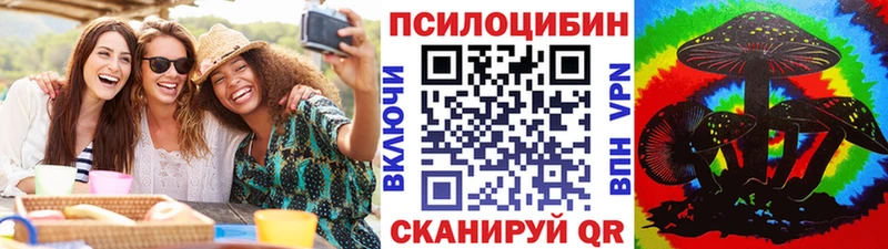Псилоцибиновые грибы Psilocybe  где найти наркотики  Назрань 